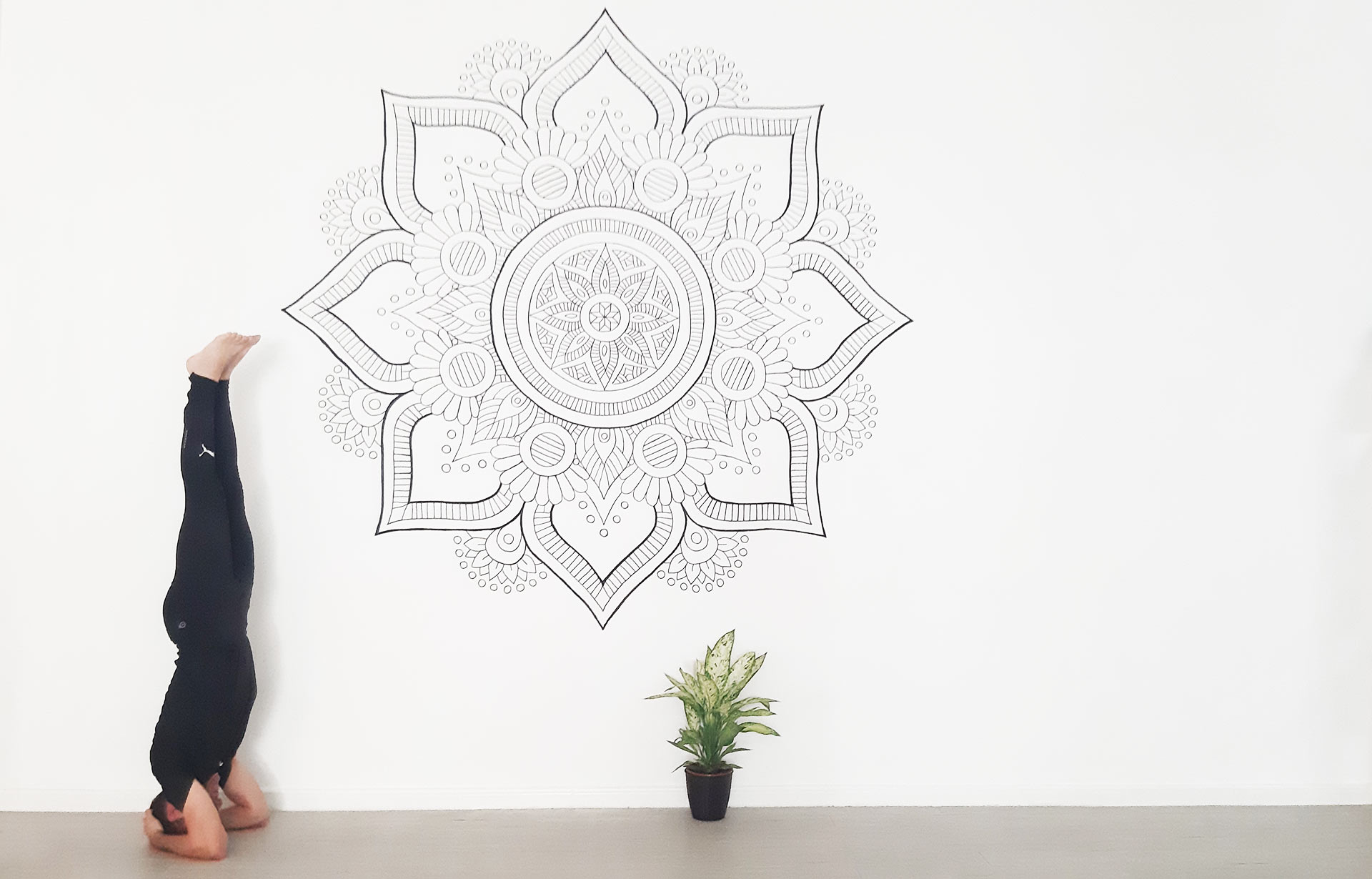 Sala de Yoga en Puerto del Rosario